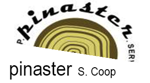 logo-pinaster